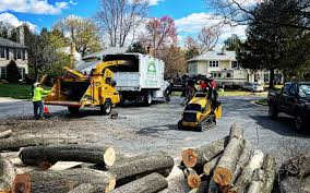 Lawn Pest Prevention in Head Of The Harbor, NY